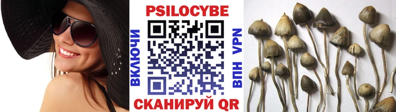 Галлюциногенные грибы мицелий  Златоуст 