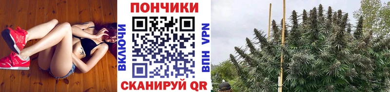 Шишки марихуана гибрид Златоуст